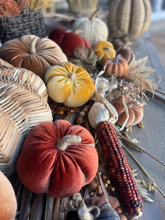 Lrg. Cinnamon Velvet Pumpkin