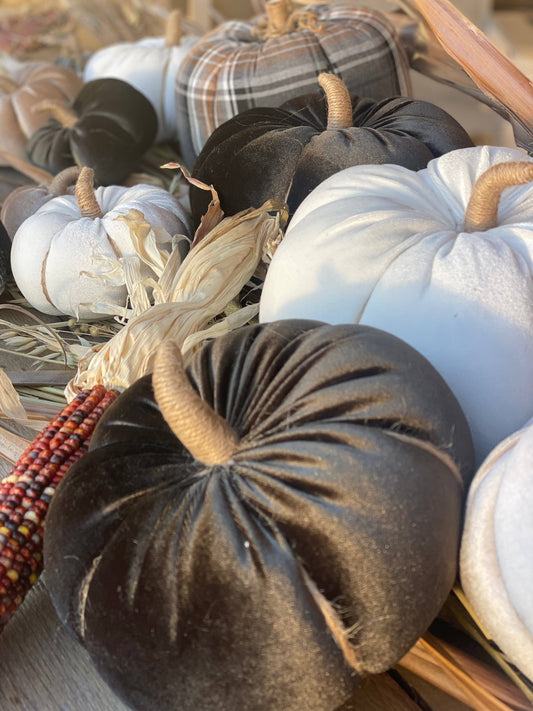 Lrg. Black Velvet Pumpkin