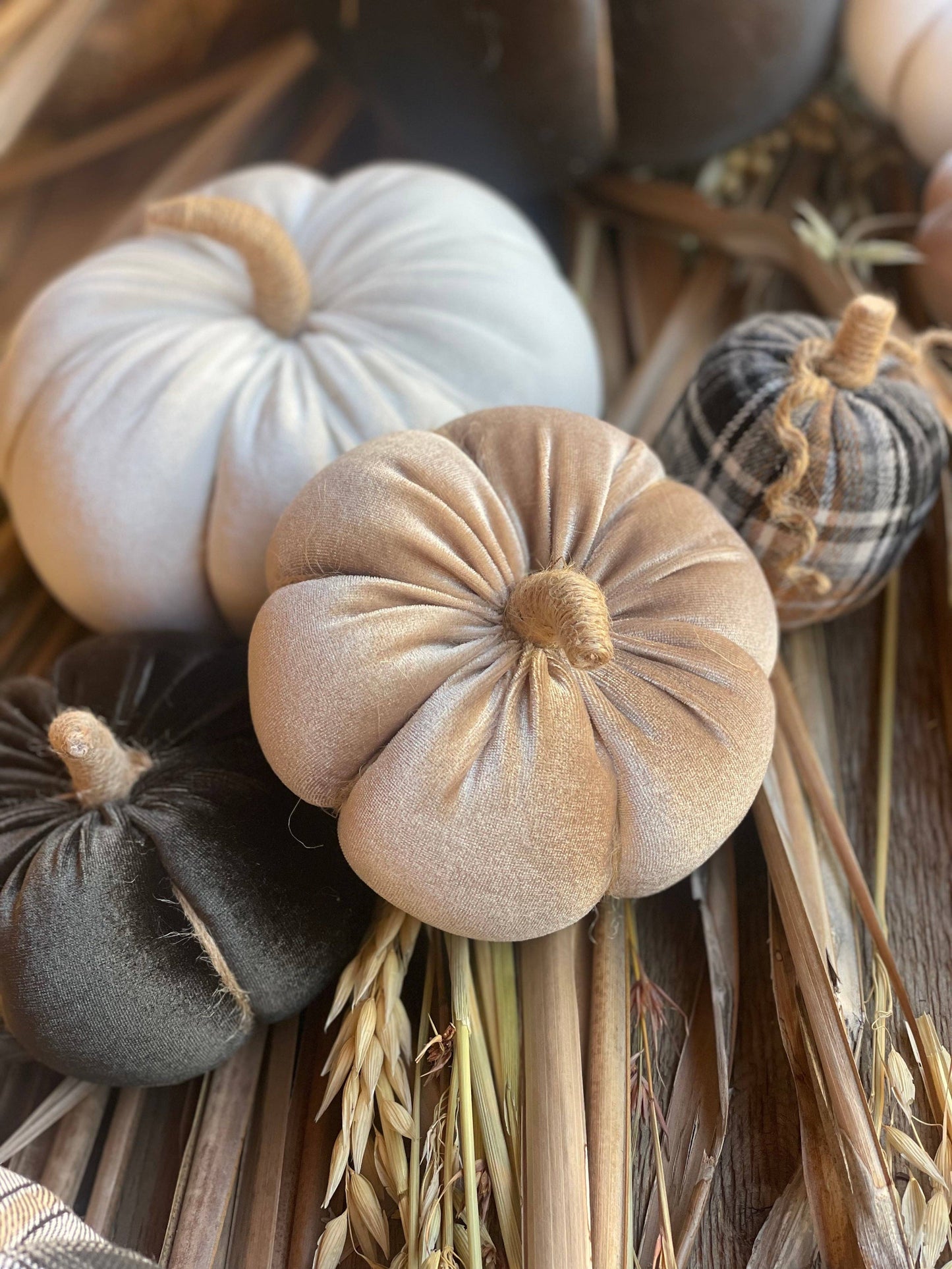 Lrg. White Velvet Pumpkin