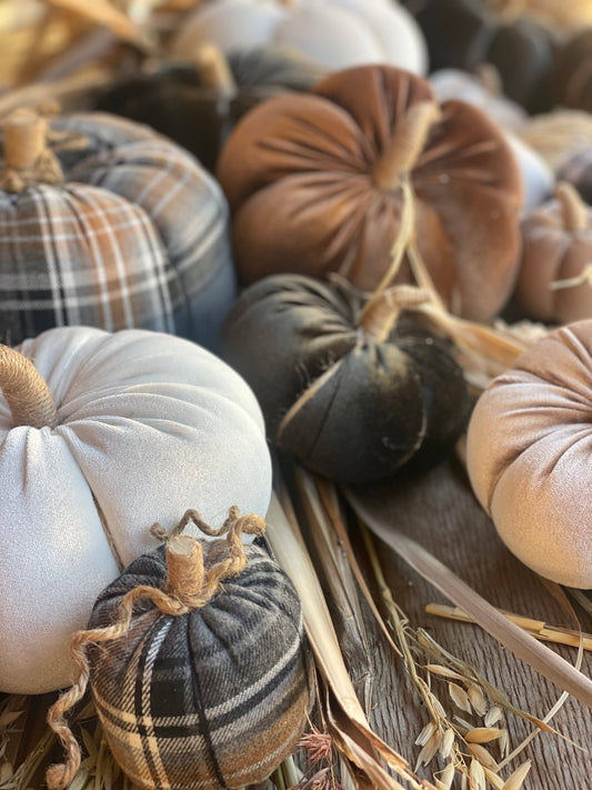 Med. White Velvet Pumpkin