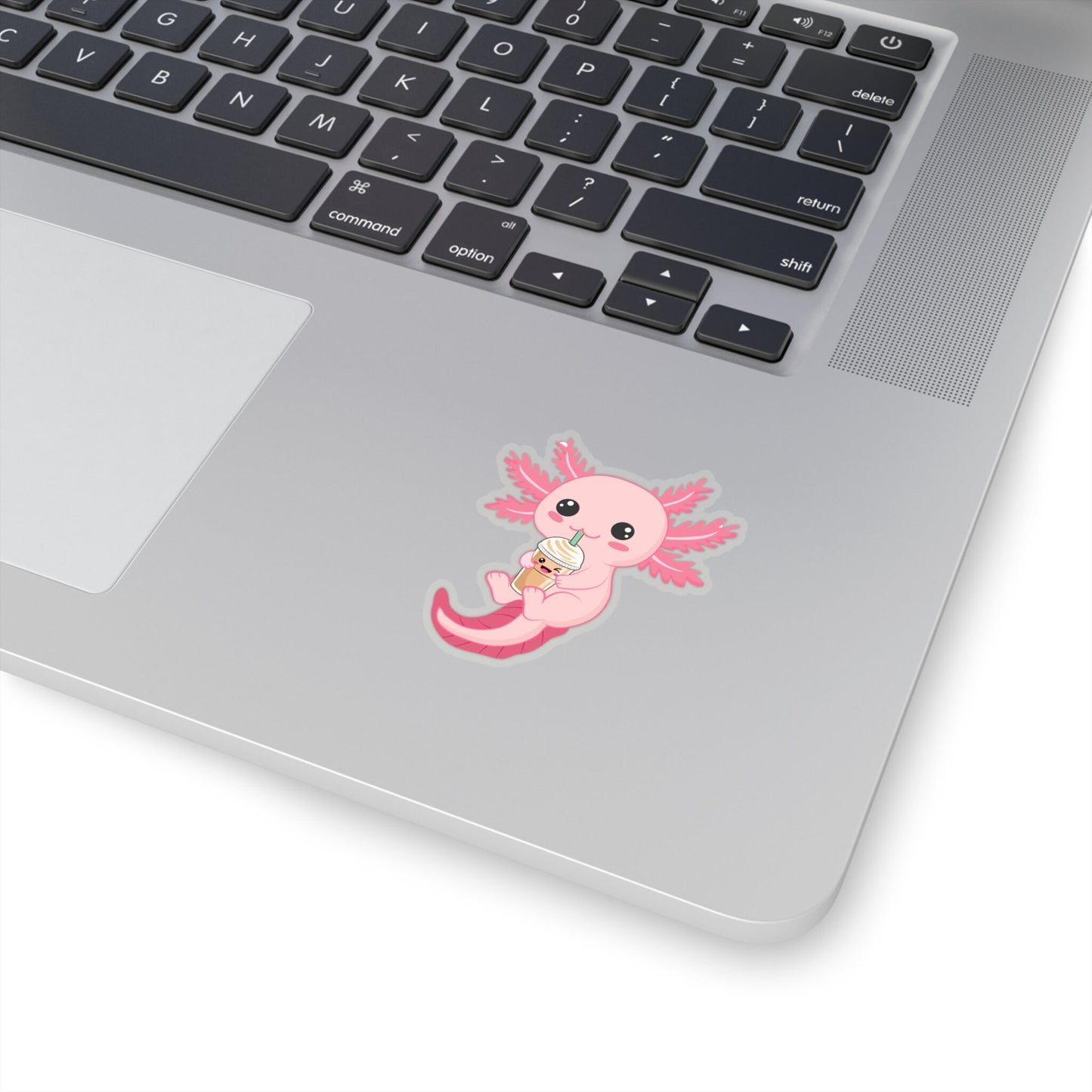 Cute Axolotl with Frappachino Sticker